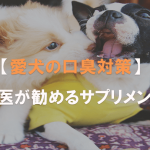 獣医が勧める愛犬の口臭対策サプリメント